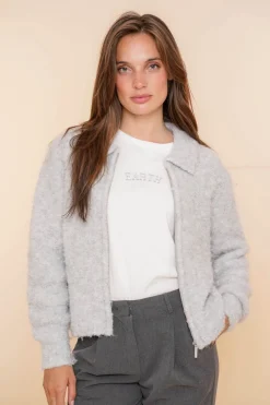 Jasjes & Blazers | Truien & Vesten*Geisha Fashion Geisha Dames Wollen Binnenjasje 44538-29 light grey